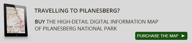 Pilanesberg-map-high-res