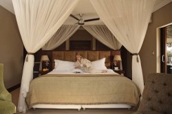 Shepherd's Tree Game Lodge