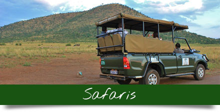 pilanesberg-safaris