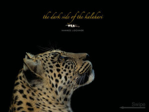 screen480x480-300x225