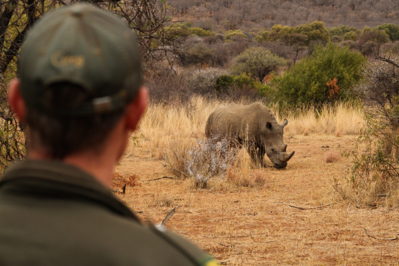 Tracking rhinos. Photo Courtesy of Christopher Clark