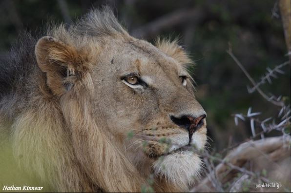 The best of Pilanesberg on Instagram last week – 18 July 2016