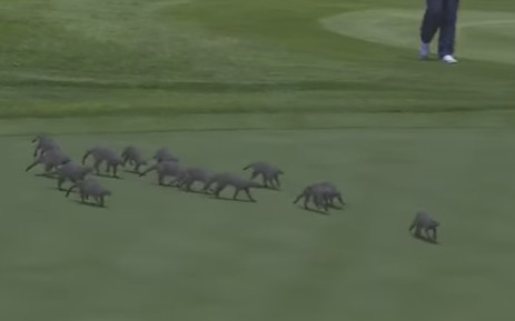 c0pvudr553nbdmrdwjqm